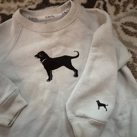 Cutest black dog sweatshirt size 3T soft lined black dog company light blue - Picture 2 of 6
